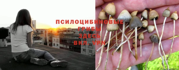герыч Белоозёрский
