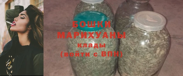 гидра Белокуриха