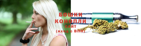 гидра Белокуриха