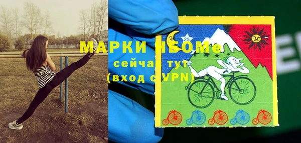гидра Белокуриха