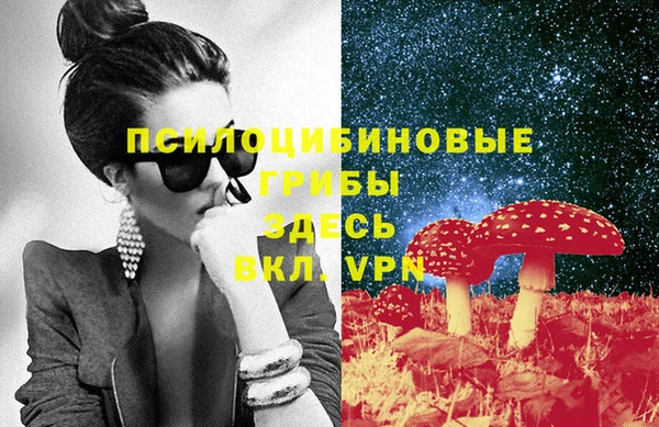 гидра Белокуриха