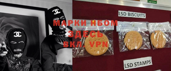 гидра Белокуриха